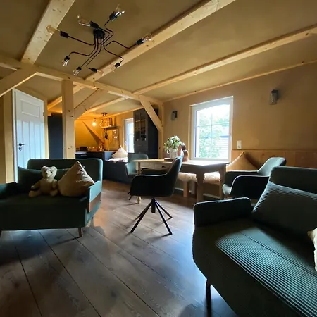 Haus Stenzinger بورغ