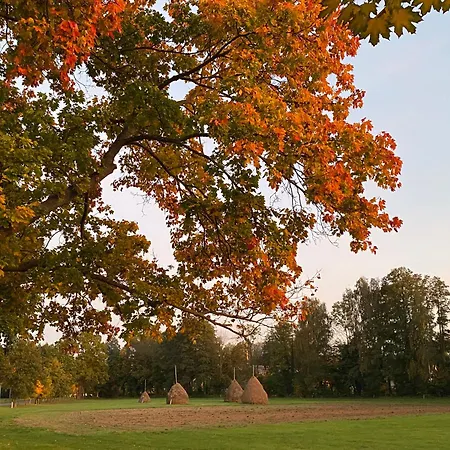 Πανσιόν Haus Stenzinger 4*