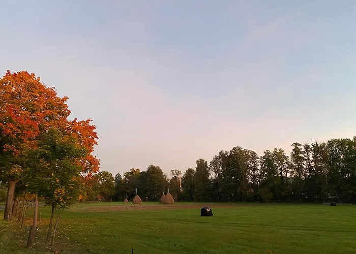 Gasthof Haus Stenzinger Burg (Spreewald)