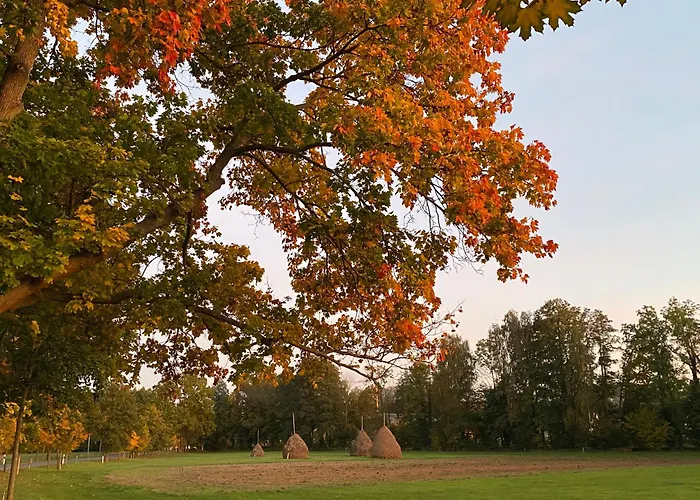 Pensjonat Haus Stenzinger 4*